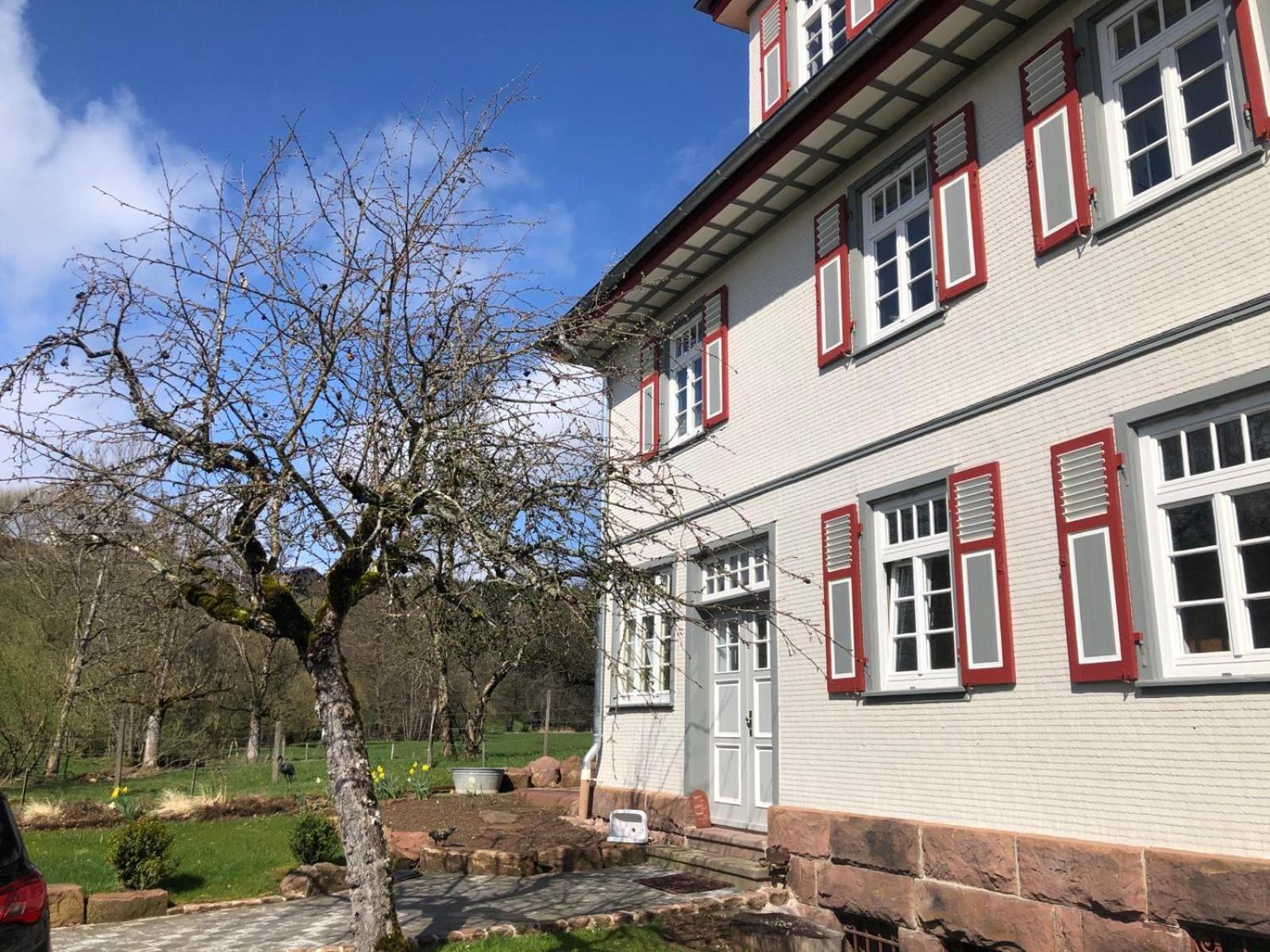Ferienwohnung Am Stockerbach Фройденштадт Экстерьер фото